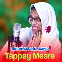 Zargai Mi Kre Dardona Sta Judai Ki Tappy - Shehansha Bacha & Wagma