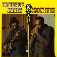 Drivin' Dog - Homesick James & Snooky Pryor