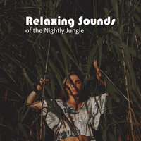 Tropical Birds - Serenity Nature Sounds Academy
