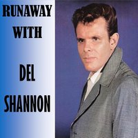I'll Always Love You - Del Shannon