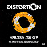 Could You - ANDRE SALMON & Juanito