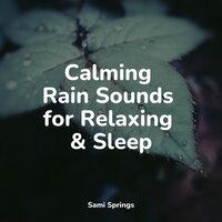 Windy, Rainy Streets - Relaxation & Tranquility Spa Universe & Nature & Sounds Backgrounds
