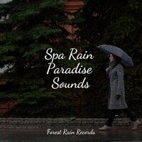Small Waves Crashing - Binaural Beats Brain Waves Isochronic Tones Brainwave Entrainment & Soothing Nature Sounds & Study Music
