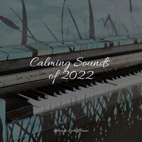 Enchanting Bird Songs - Piano Therapy & Piano Music for Exam Study & Piano Tranquil