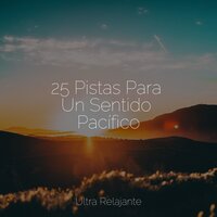 Caricia De Una Nube - Ruido Blanco Para Bebes & Relajante Academia de Música Zen & Cancion de Cuna