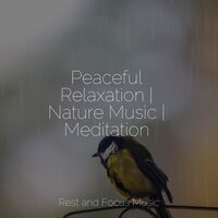 Ruddy Moon - Deep Sleep Music Delta Binaural 432 Hz & Ambient Music Therapy & Lullabies for Deep Meditation