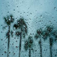 Hiding in the Rainforest - Sleepy Water & Rainy Day Spa & Sleepy Water Sounds & Sleepy Waters & Sleepy Baby Rain & Sleep Water Sounds