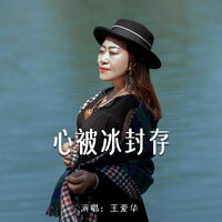 心被冰封存 - 王爱华