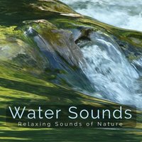 Healing Brook Ambience - Water Sounds