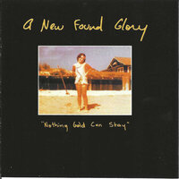 It Never Snows In Florida - New Found Glory