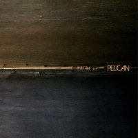 Deny the Absolute - Pelican