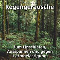 Tiefsinnige Zeiten - Regen Sounds & Regengeräusche