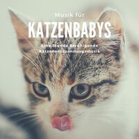 Ruhig Schlafen - Meditationsmusik Künstler