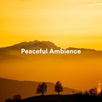 Inner Voicings - Harmonious and Peaceful Mantra & Relax Ambience & Calm Relaxation