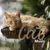Country Morning - Some Relaxing Music for Cats & Some Cat Songs & Some Cat Music