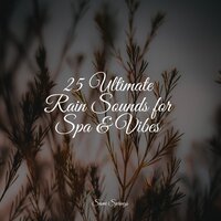 White Noise Rain in the River - Sons da Natureza Relax & Meditation Zen & Nature Sounds Collection