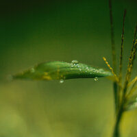 City Rains - Pro Sounds of Nature & Rain Sound Studio & Ruído branco