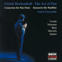 J.S. Bach: Suite No. 2 in B minor, BWV 1067 - 4. Bourrée I-II - Ulrich Herkenhoff & Amati-Ensemble & Attila Balogh & Jakob Schmidt & Ruth Spitzenberger & Johann Sebastian Bach