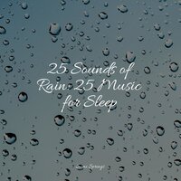 Shelter Rains - Buddhist Meditation Music Set & Rain Forest FX & Rain and Nature