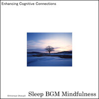 Sacred Waves of Sleepy Serenades - Sleep BGM Mindfulness
