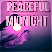 Reiki Healing Music Ensemble - Deep Sleep Meditation Oasis