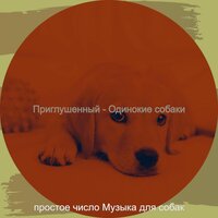 Моменты (Милые Собаки) - простое число Музыка для собак