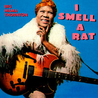 Rock-A-Bye Baby - Big Mama Thornton