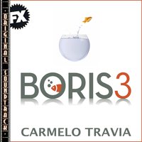 Controllo della situazione - Carmelo Travia