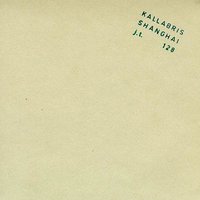 Shanghai Dortmund 45 - Kallabris
