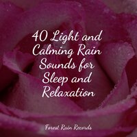 Cozy Campfire - Guided Meditation Music Zone & Sonido de lluvia & Regen zum Schlafen