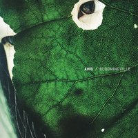 Photosynthesis - AWB
