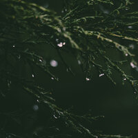 Running Water - Anxiety Relief & Naturaleza Sonidos & Nature Sound Series