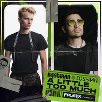A Little Too Much - Bastiaan & DJ Shaan & Faustix
