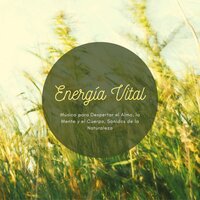 Medita Conmigo - Aliento Luz