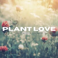888 Angel Gate - Plant Love