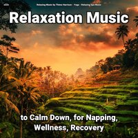 Relaxation Music Pt. 14 - Relaxing Music by Thimo Harrison & Yoga & Relaxing Spa Music
