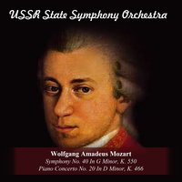 Symphony No. 40 In G Minor, K. 550: I. Molto Allegro - USSR State Symphony Orchestra & Вольфганг Амадей Моцарт