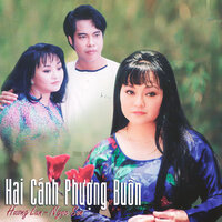 Sao Lòng Còn Thương - Ngoc Son