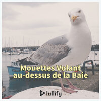 Au dessus de l'eau - Lullify Français