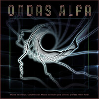 Ondas Alfa - Música para leer - Ondas Alfa & Musica para Concentrarse & Ondas Alfa Colectivo