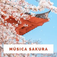 Música, Emoción y Bienestar - Música Japonesa Maestro