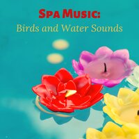 Perfection - Spa Music Relaxation Meditation