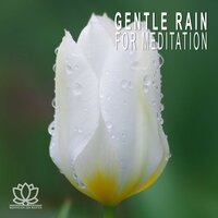 Gentle Rain for Meditation, Pt. 30 - Meditation Zen Master