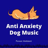 Pet Sound Therapy - Calming Music for Dogs & Relaxing Dog Music & Dog Therapy