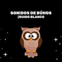 Llamadas De Búho - Prince Sereno & Medicina Relajante & El Ruido Blanco