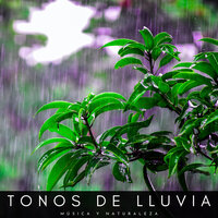 Relajación En La Cama - Relajantes sonidos de lluvia & Lluvia para un sueño profundo & Lluvia Relajante