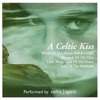 Theme From Harry's Game - Celtic Spirit