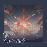 像风的温柔 - 王天戈
