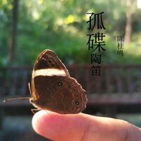 夕阳西下 - 陈桂鸣