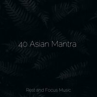 Whisper to Me - Pet Care Music Therapy & Musique Zen Garden & Alpha Brain Waves